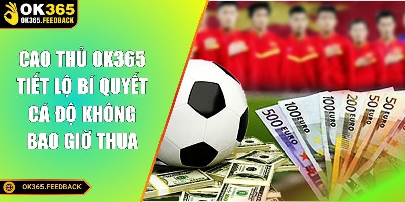 Cao thủ OK365 tiết lộ bí quyết cá độ không bao giờ thua