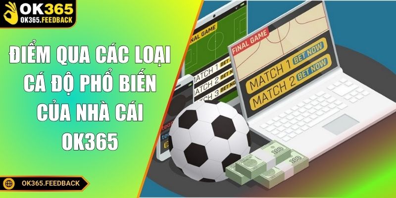 Điểm qua các loại cá độ phổ biến của nhà cái OK365