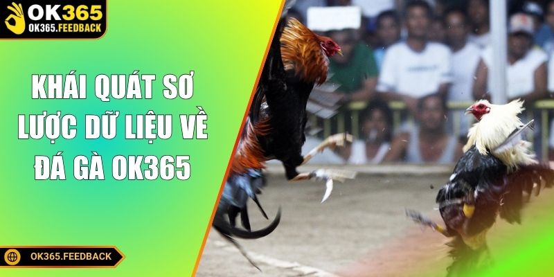 Khái quát sơ lược dữ liệu về đá gà OK365