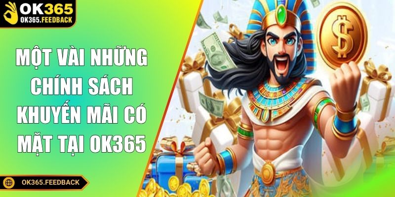 Một vài những chính sách khuyến mãi có mặt tại OK365