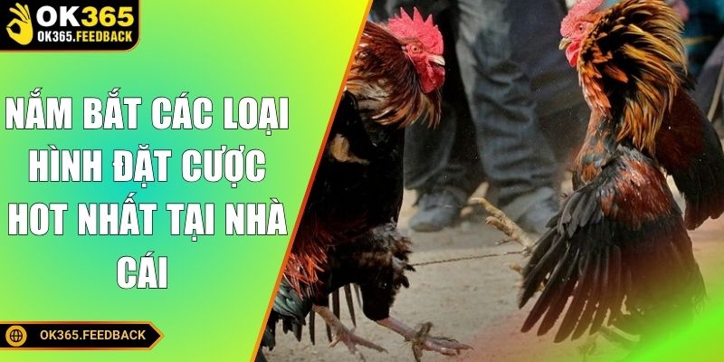 Nắm bắt các loại hình đặt cược hot nhất tại nhà cái