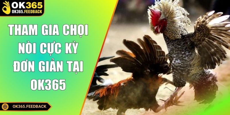 Tham gia chọi nòi cực kỳ đơn giản tại OK365