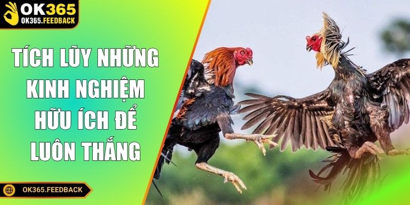 Tích lũy những kinh nghiệm hữu ích để luôn thắng